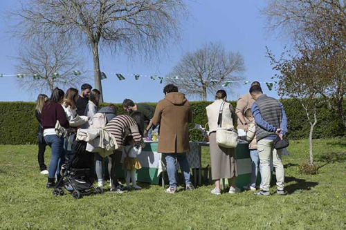 Actividades especiales organizadas con motivo del 28F