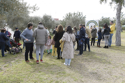 Actividades en el Museo del 28F del Día de Andalucía