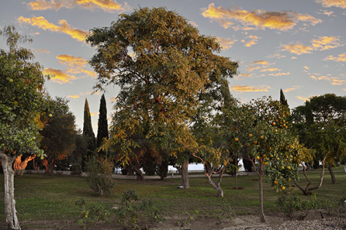 Visitas nocturnas a la Casa de Blas Infante